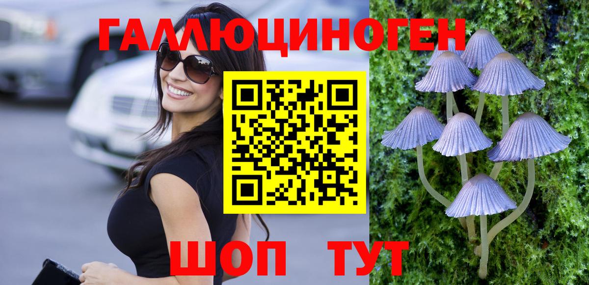 Галлюциногенные грибы Psilocybine cubensis Балашов